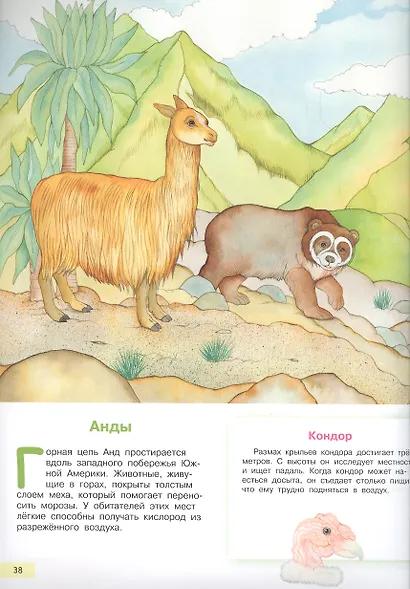 Царство животных. Моя первая энциклопедия с наклейками - фото 3