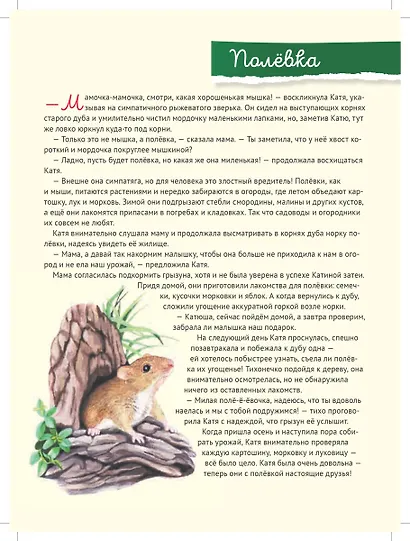 Кто где живёт? Звери и птицы леса - фото 6