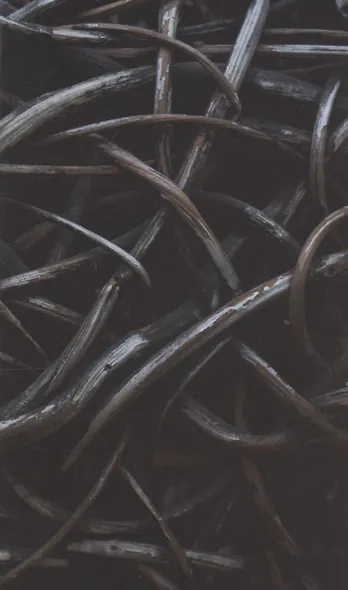 Механическое сердце. Черный принц - фото 3