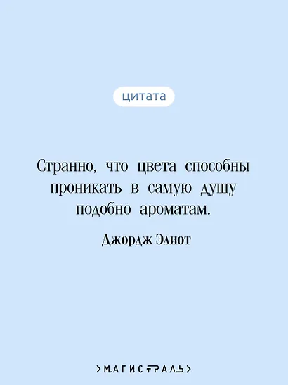 Мидлмарч - фото 6