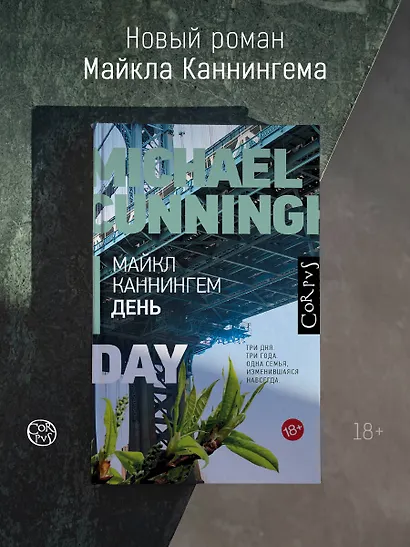 День - фото 3