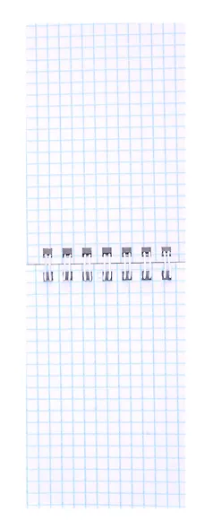 Блокнот в клетку "Капибар Капибаров (Эксклюзив)", А7, 40 листов - фото 2