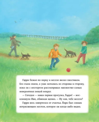 Большое приключение маленького щенка - фото 9
