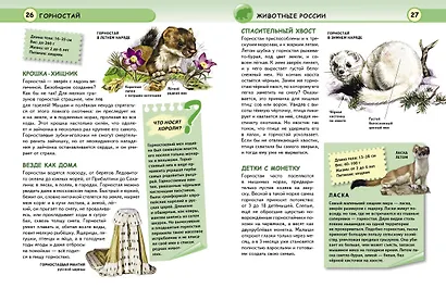 Животные - фото 5