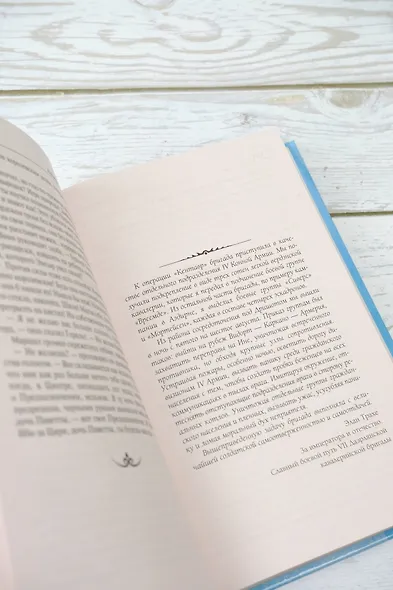 Ведьмак. Крещение огнем. Башня ласточки - фото 8