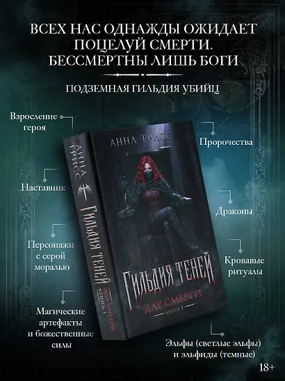 Гильдия теней. Дар смерти. Книга 1 - фото 4