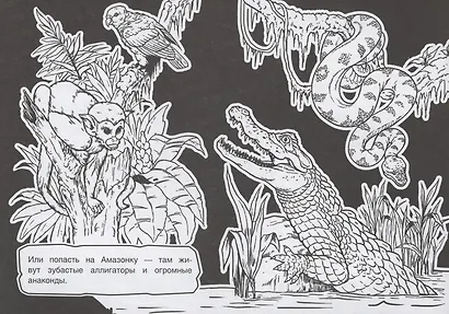 Раскраска Для мальчиков - фото 3