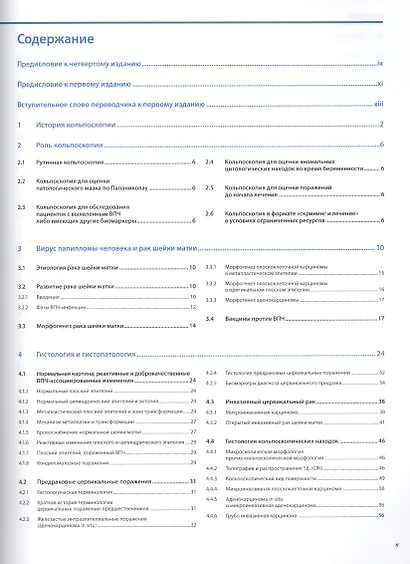 Кольпоскопия и патология шейки матки по Бургхардту - фото 2