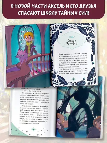 Заклятие тёмного мага - фото 5