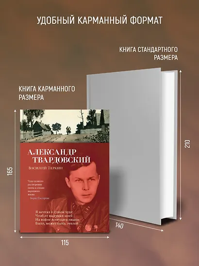 Василий Теркин - фото 6