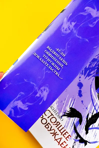 Настоящее пробуждение. Real Awakening. Книга 2 - фото 13