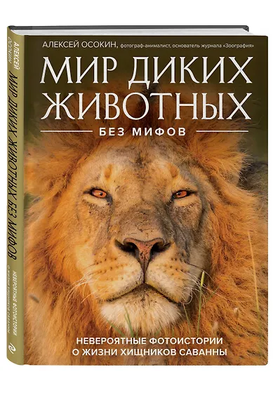Мир диких животных без мифов. Невероятные фотоистории о жизни хищников саванны - фото 3