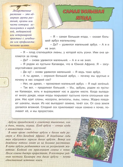 Зеленая аптека - фото 4