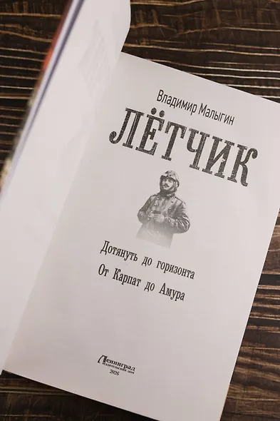 Летчик: Дотянуть до горизонта - фото 7