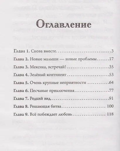 Большое Путешествие. Вокруг света. Официальная новеллизация - фото 11