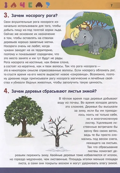 Первая энциклопедия школьника в вопросах и ответах - фото 4