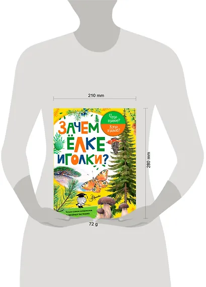 ЧтоТакоеКтоТакой Зачем ёлке иголки? - фото 3