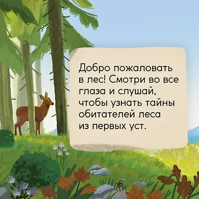 Кто живёт в лесу? Иллюстрированный атлас животных - фото 7