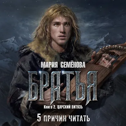 Братья. Книга 2. Царский витязь. Том 2 - фото 4