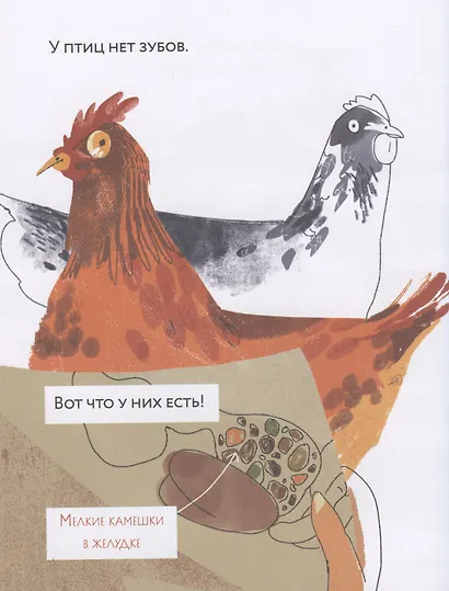 Зубы? Зубы... Зубы! - фото 3