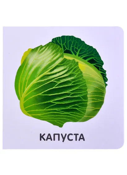 Овощи - фото 3