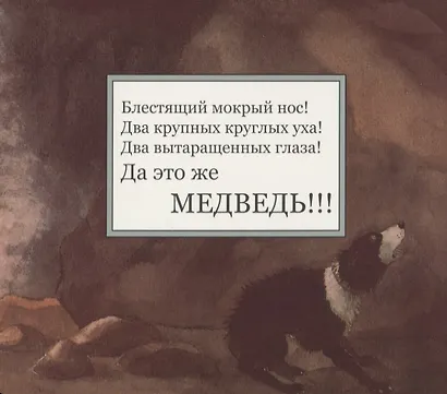 Идем ловить медведя - фото 4