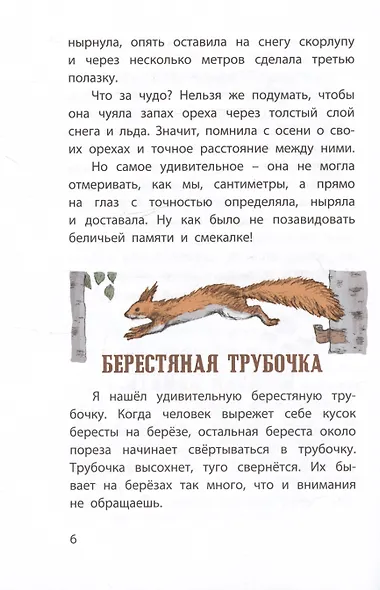 Моя Родина. Рассказы - фото 5