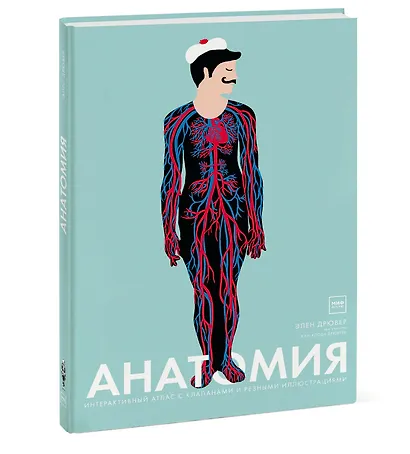 Анатомия - фото 3