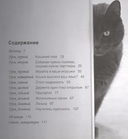 Кошка в дом - счастье в нем. 10 простых уроков счастья для владельцев кошек (комплект из 4 книг) - фото 2