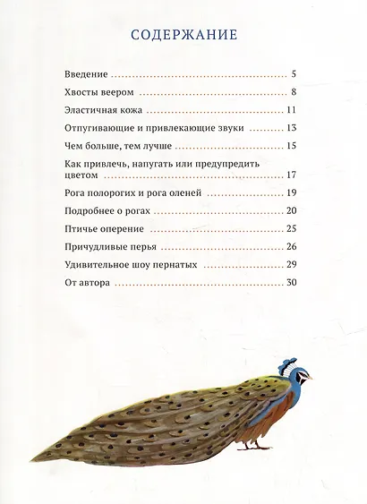Посмотри на меня. Шоу диких животных - фото 2