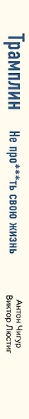 Трамплин. Не про***ть свою жизнь - фото 5