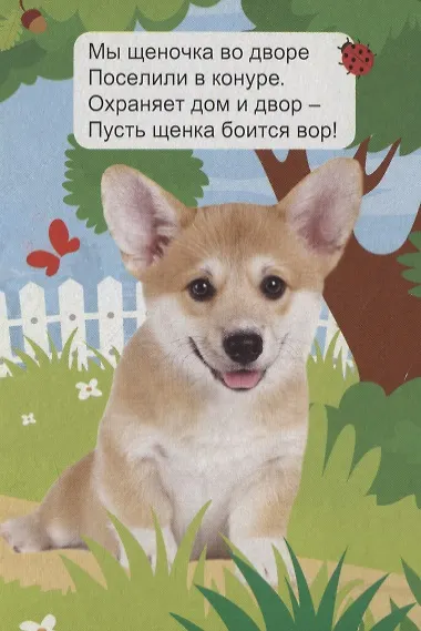 ЦК МИНИ. ДОМАШНИЕ ЖИВОТНЫЕ - фото 4