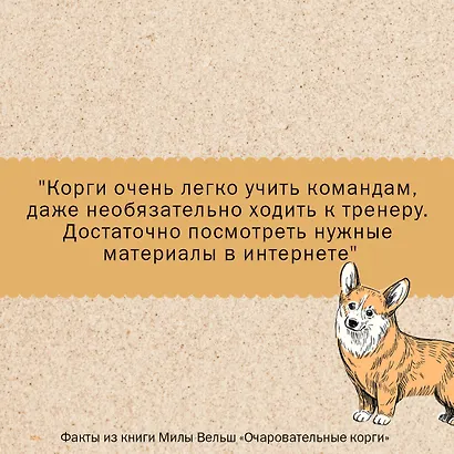 Очаровательные корги: походка, которая вдохновляет! - фото 8