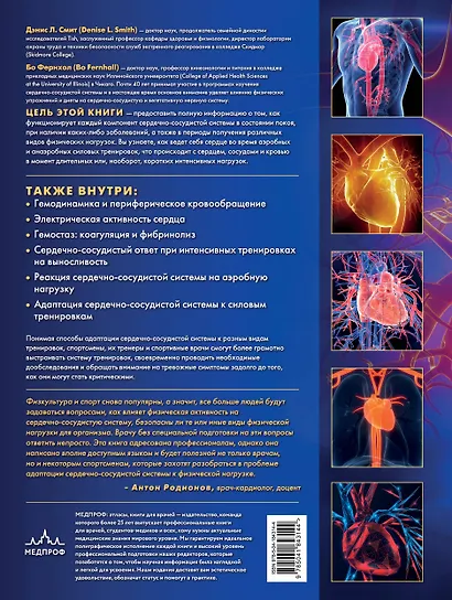 Сердечно-сосудистая система. Анатомия и физиология в покое и при физических нагрузках - фото 2