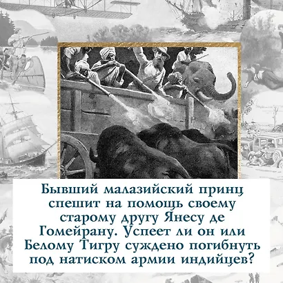 Коварный брамин из Ассама. Гибель империи. Реванш Янеса - фото 7