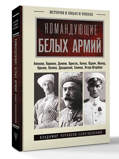 Командующие белых армий. Алексеев, Корнилов, Деникин и другие - фото 3