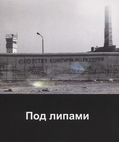 Под липами - фото 1