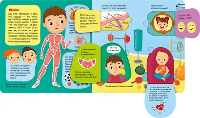 Книжка с окошками. Тело человека - фото 2