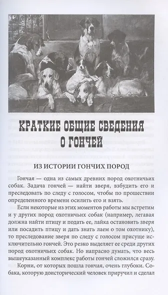 Отечественные гончие и охота с ними - фото 5