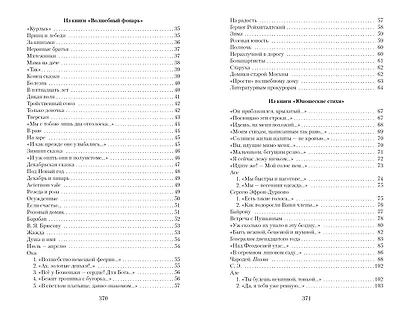 Волшебный фонарь - фото 4