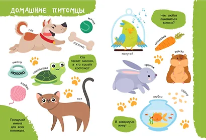 Моя первая книга о животных - фото 3