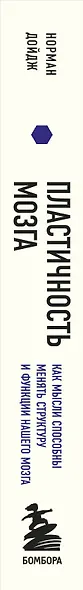 Пластичность мозга. Потрясающие факты о том, как мысли способны менять структуру и функции нашего мозга - фото 6