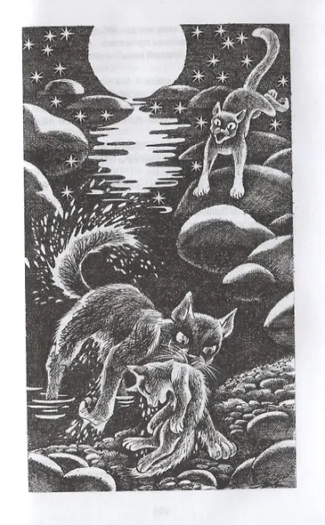 Гроза и Тень - фото 3