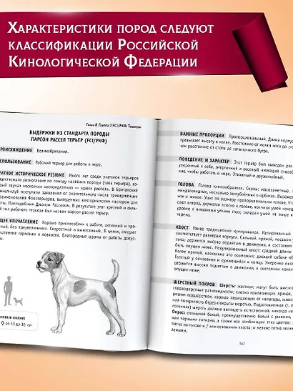 Породы собак Энциклопедия (первая обложка с борзой) - фото 7