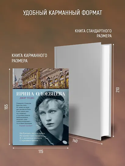 Двор чудес - фото 6