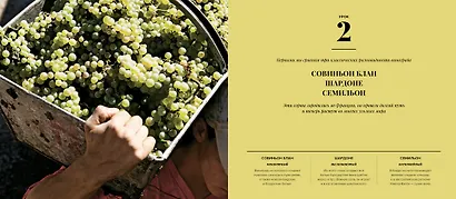 Дегустация как метод познания. Винный курс с лирическими отступлениями - фото 7