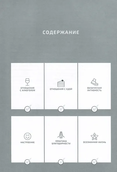 Ежедневники Веденеевой. Challenge book: Блокнот для наведения порядка в жизни - фото 2