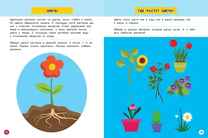Изучаю мир вокруг: для детей от 5 лет - фото 5