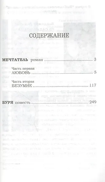 Буря - фото 2