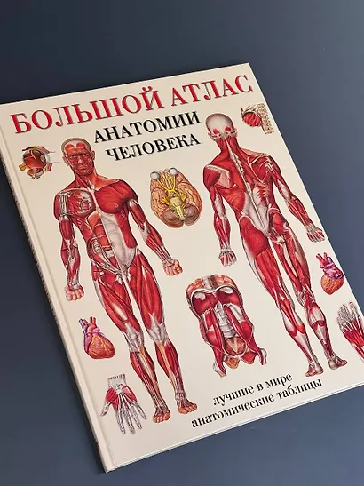 Большой атлас  анатомии человека - фото 4